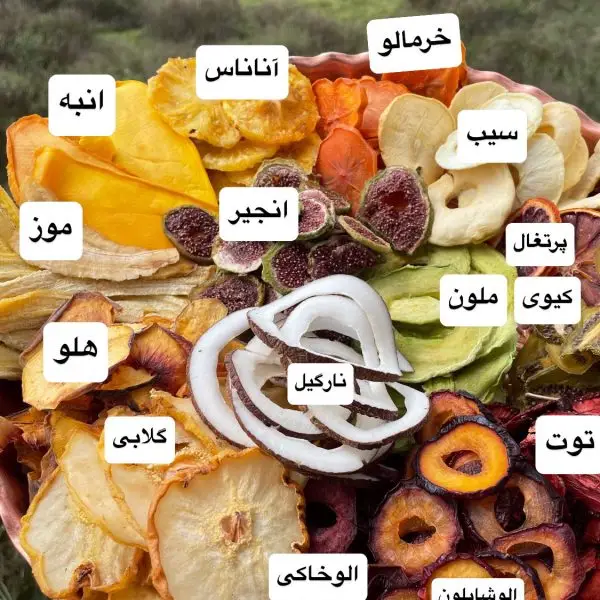 میوه خشک